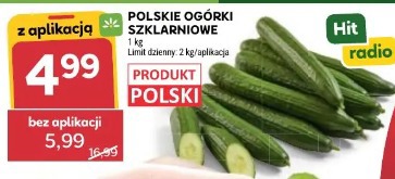 Polskie ogórki szklarniowe