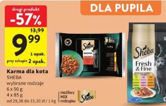 Karma dla kota Sheba