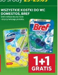 Wszystkie kostki do WC Domestos, Bref