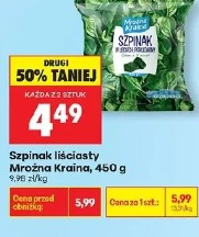 Szpinak liściasty Mroźna Kraina