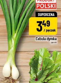 Cebula dymka
