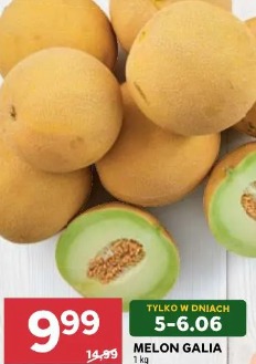 Melon Galia
