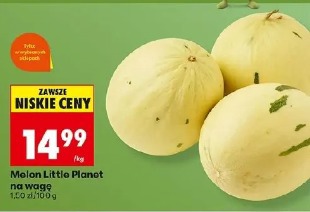 Melon Little Planet