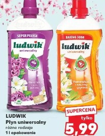 Ludwik Płyn uniwersalny