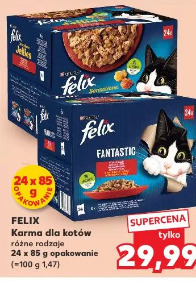 Felix karma dla kotów