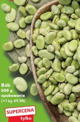 Bób