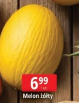 Melon żółty