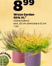 Wrzos Garden Girls XL
