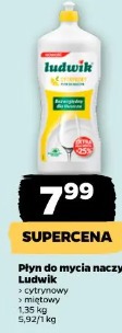 Płyn do mycia naczyń Ludwik