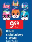 Królik czekoladowy E.Wedel Lotte Wedel