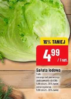 Sałata lodowa