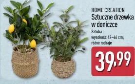 Home Creation Sztuczne drzewka w doniczce