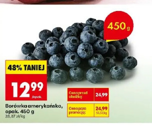 Borówka amerykańska