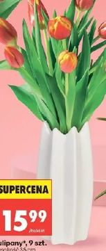Tulipany