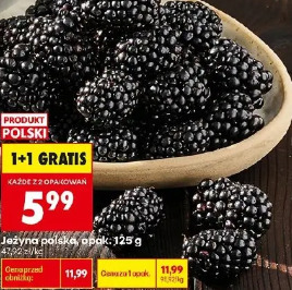 Jeżyna polska, opak. 125 g