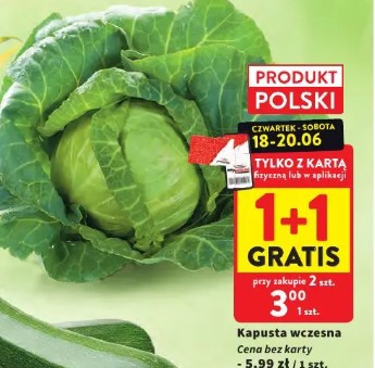Kapusta wczesna 1+1 gratis