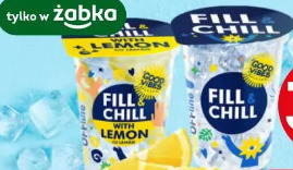 Fill & Chill kubek z lodem 