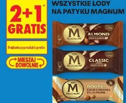 Wszystkie lody na patyku Magnum