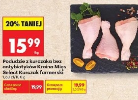 Podudzie z kurczaka bez antybiotyków Kraina Mięs Select Kurczak farmerski