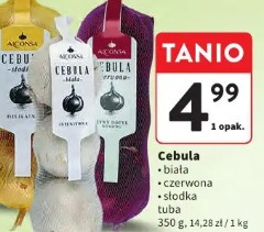 Cebula biała tuba