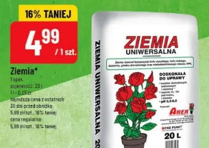 Ziemia