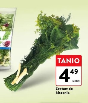 Zestaw do kiszenia