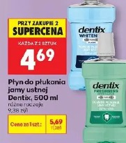 Płyn do płukania jamy ustnej Dentix