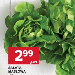 Sałata masłowa