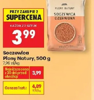 Soczewica Plony Natury