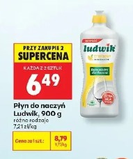 Ludwik płyn do naczyń