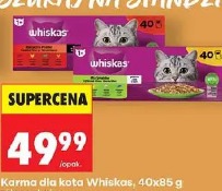 Whiskas karma dla kota