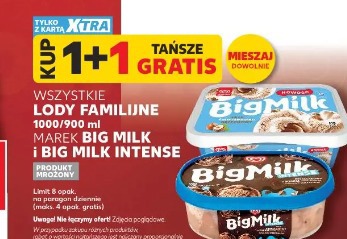 Wszystkie lody familijne marek Big Milk i Big Milk Intense