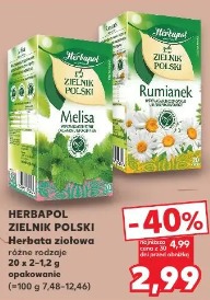 Herbapol Zielnik Polski herbata ziołowa