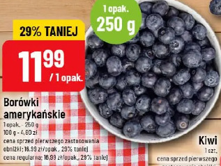 Borówki amerykańskie