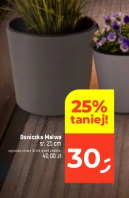 Doniczka Malwa