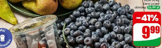 Borówka amerykańska