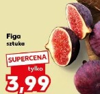 Figa