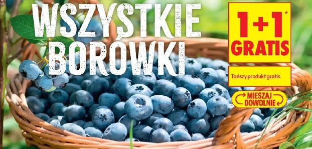 Wszystkie borówki