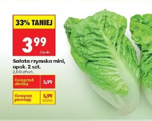 Sałata rzymska mini