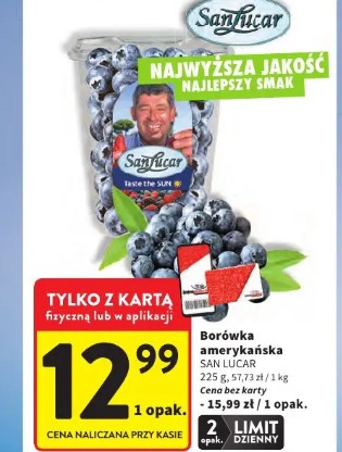 Borówka amerykańska San Lucar