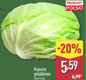 Kapusta gołąbkowa