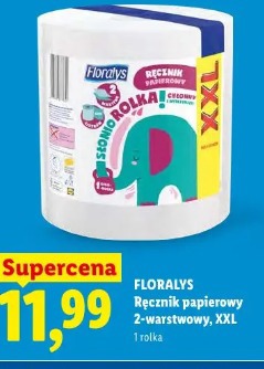 Ręcznik papierowy 2-warstwowy, XXL