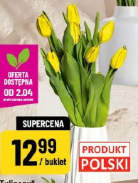 Tulipany