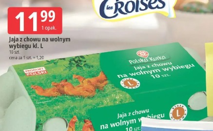 Jaja z chowu na wolnym wybiegu kl. L