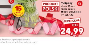 Tulipany