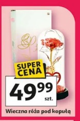 Wieczna róża pod kopułą