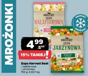 Zupa Harvest Best jarzynowa