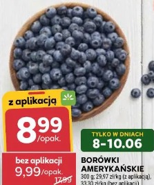 Borówki amerykańskie