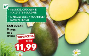 SAN LUCAR Mango RTE
