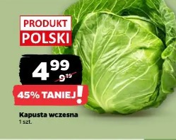 Kapusta wczesna